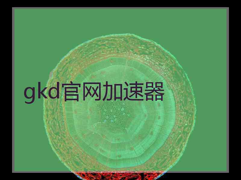 gkd官网加速器