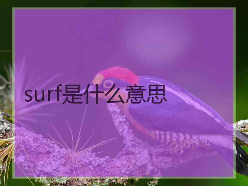 surf是什么意思