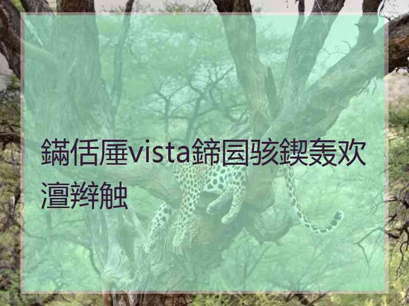 鏋佸厜vista鍗囩骇鍥轰欢澶辫触