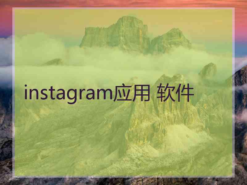 instagram应用 软件