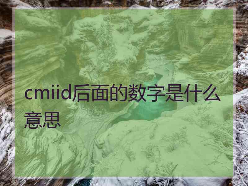 cmiid后面的数字是什么意思