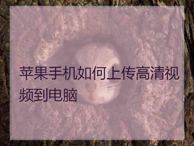 苹果手机如何上传高清视频到电脑