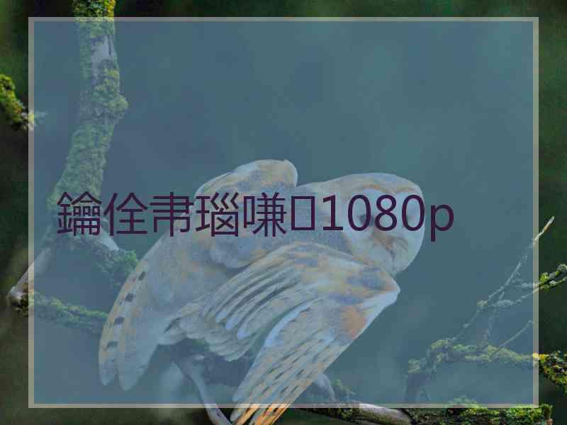 鑰佺帇瑙嗛1080p