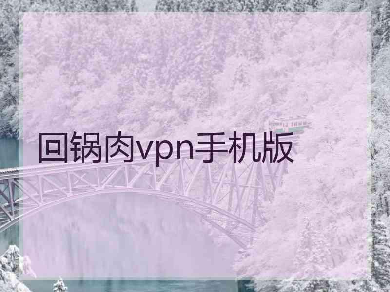 回锅肉vpn手机版