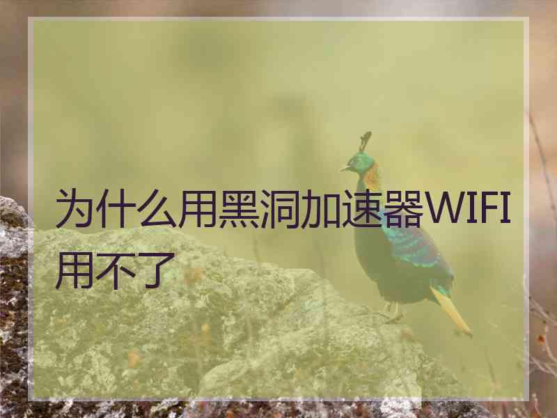 为什么用黑洞加速器WIFI用不了