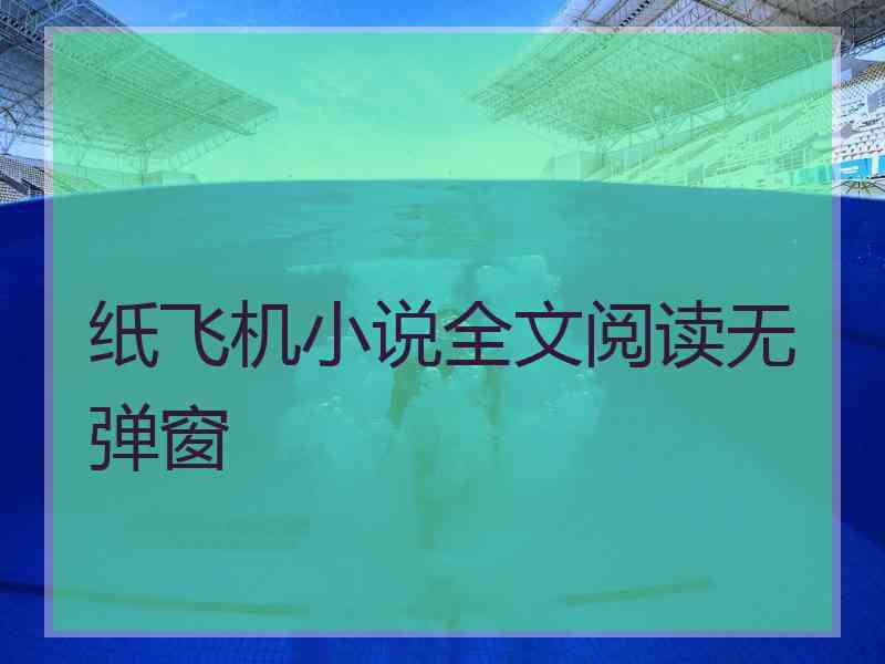 纸飞机小说全文阅读无弹窗