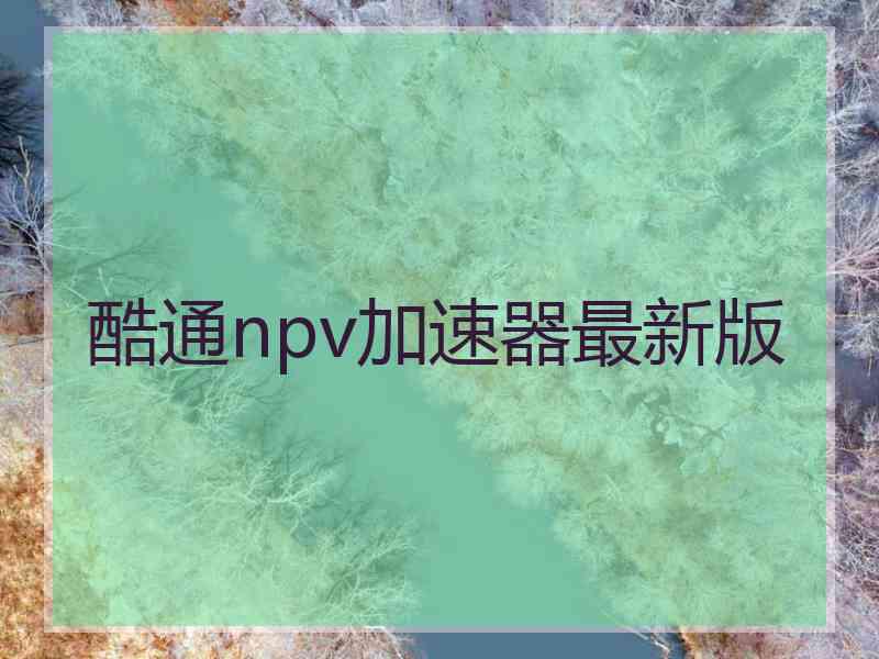 酷通npv加速器最新版