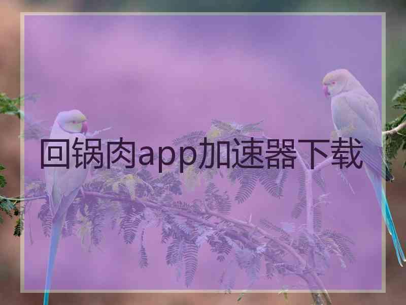 回锅肉app加速器下载