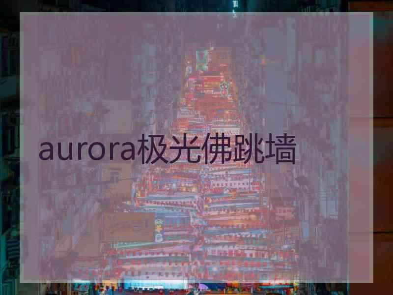 aurora极光佛跳墙