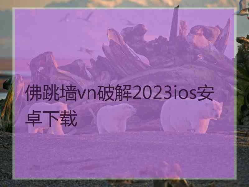 佛跳墙vn破解2023ios安卓下载