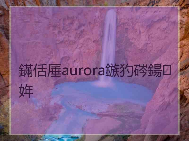 鏋佸厜aurora鏃犳硶鍚姩