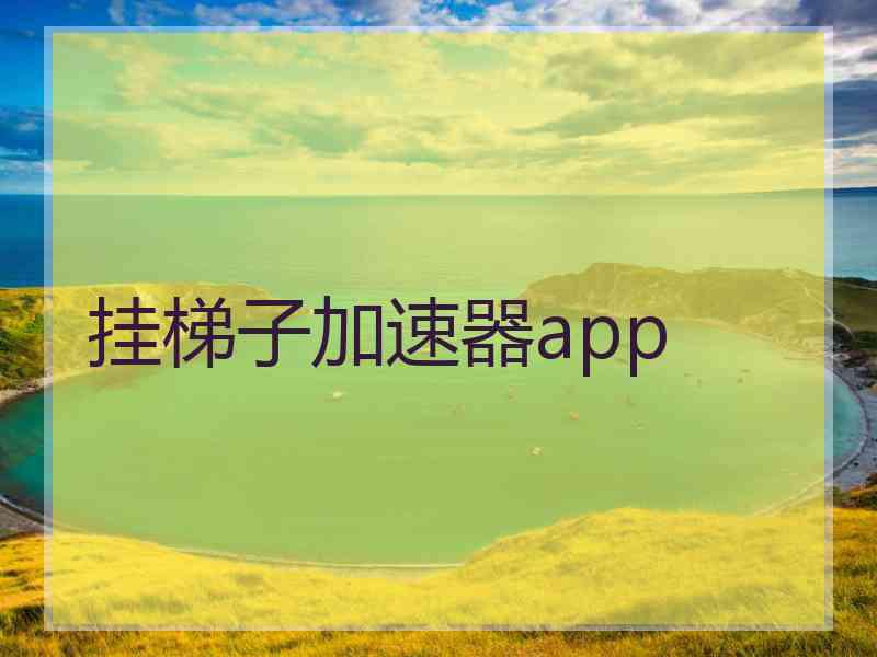 挂梯子加速器app