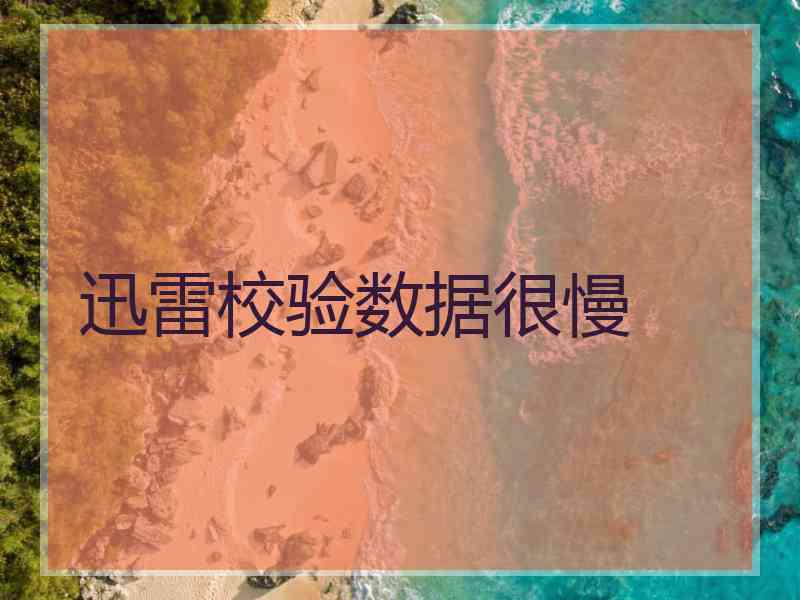 迅雷校验数据很慢