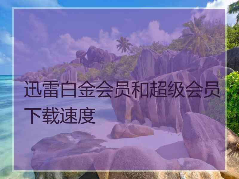 迅雷白金会员和超级会员下载速度