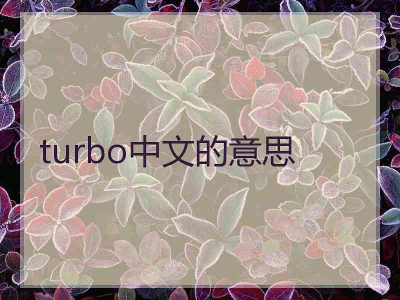 turbo中文的意思