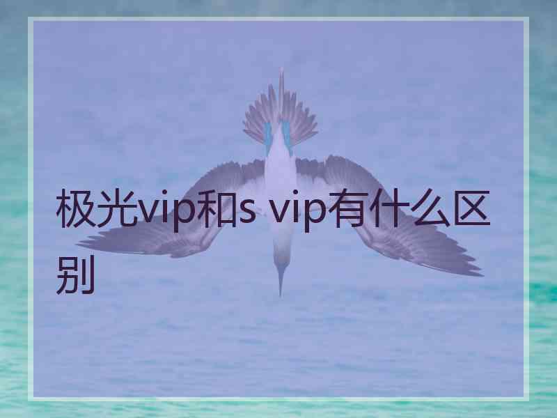 极光vip和s vip有什么区别