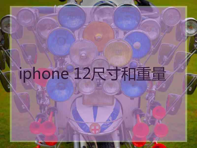 iphone 12尺寸和重量