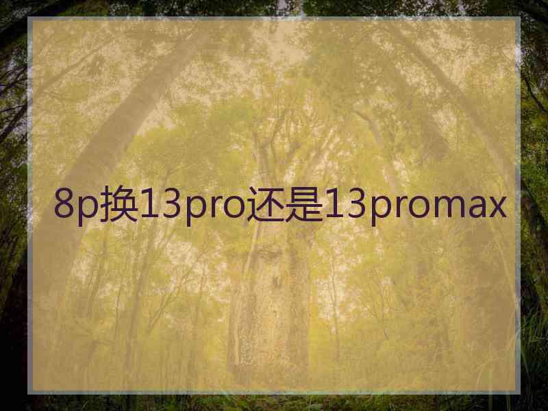 8p换13pro还是13promax