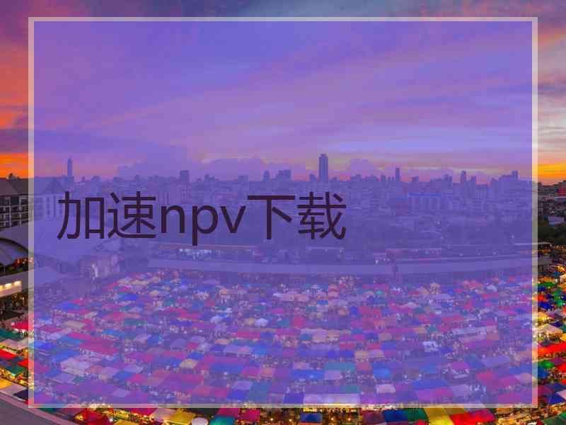 加速npv下载