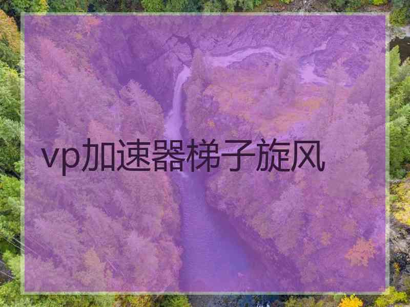 vp加速器梯子旋风