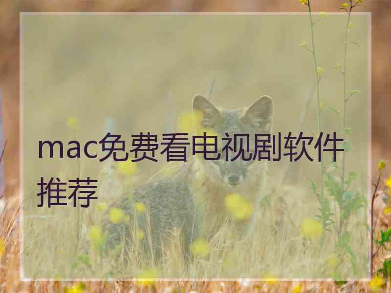 mac免费看电视剧软件推荐