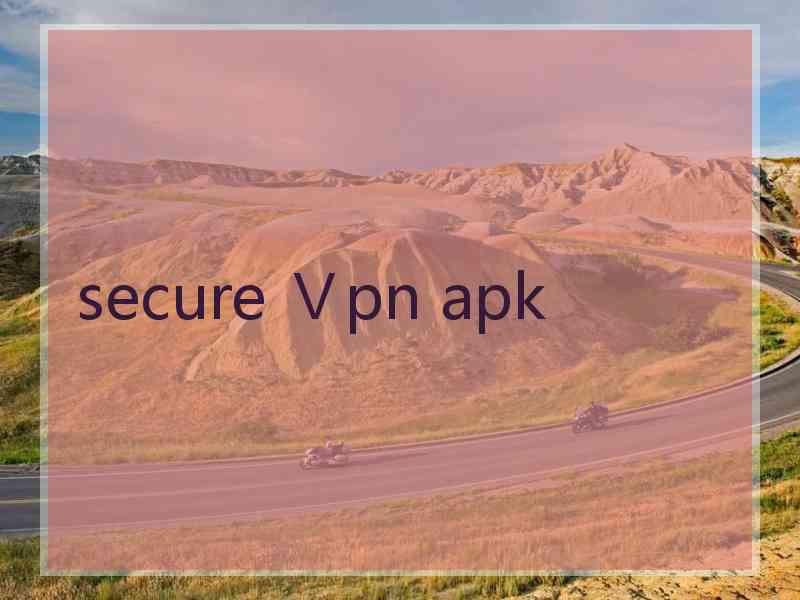 secure Ⅴpn apk