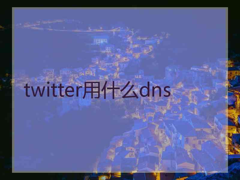 twitter用什么dns