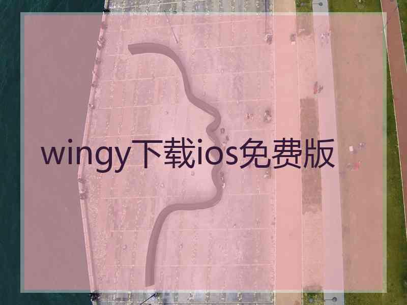 wingy下载ios免费版