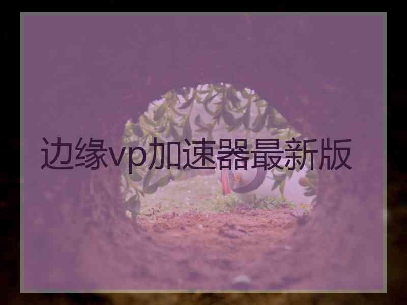 边缘vp加速器最新版