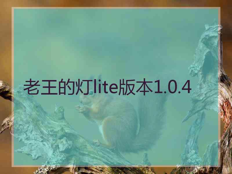 老王的灯lite版本1.0.4