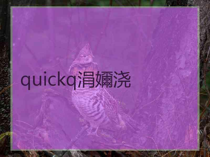 quickq涓嬭浇