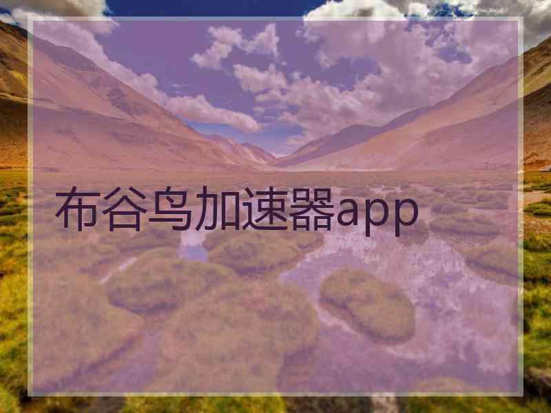 布谷鸟加速器app