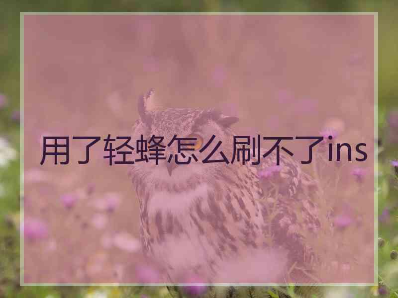 用了轻蜂怎么刷不了ins