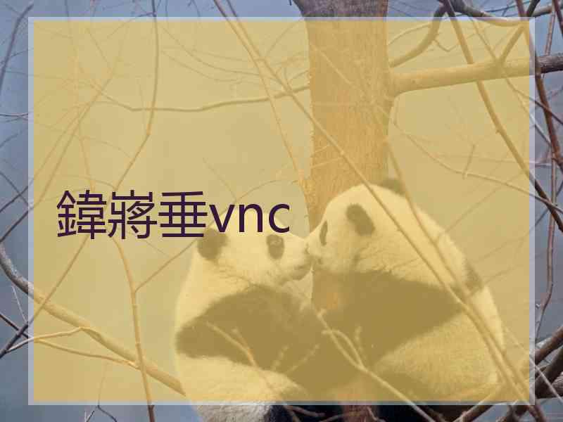 鍏嶈垂vnc