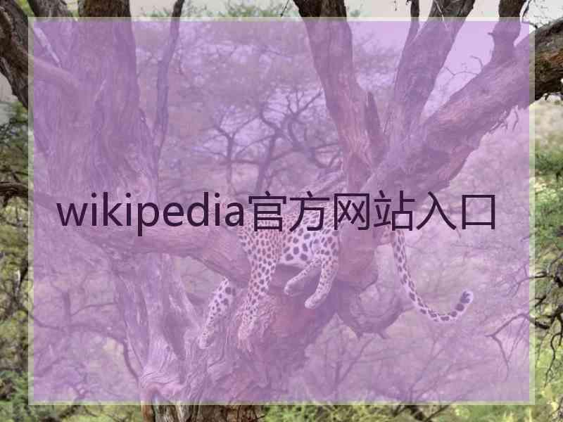 wikipedia官方网站入口