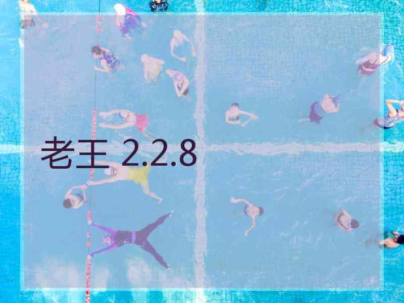 老王 2.2.8