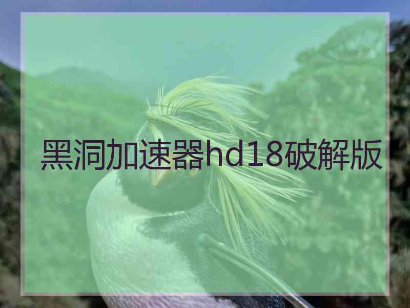 黑洞加速器hd18破解版