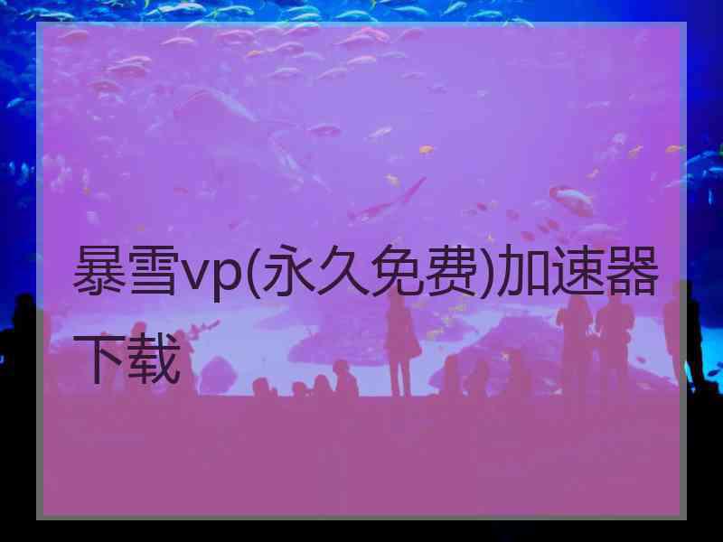 暴雪vp(永久免费)加速器下载