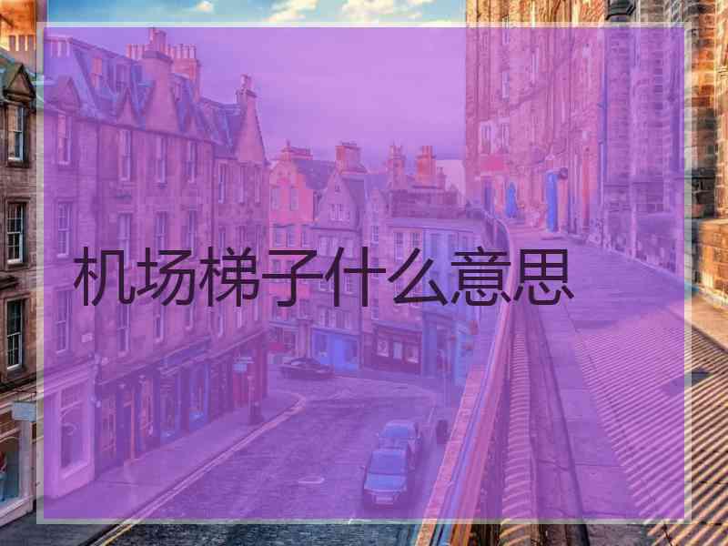 机场梯子什么意思