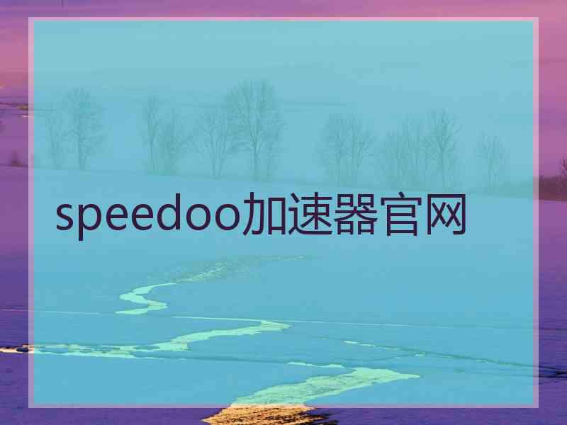 speedoo加速器官网