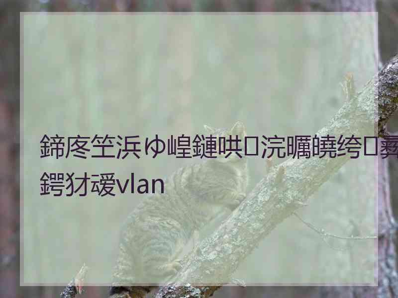 鍗庝笁浜ゆ崲鏈哄浣曞皢绔彛鍔犲叆vlan