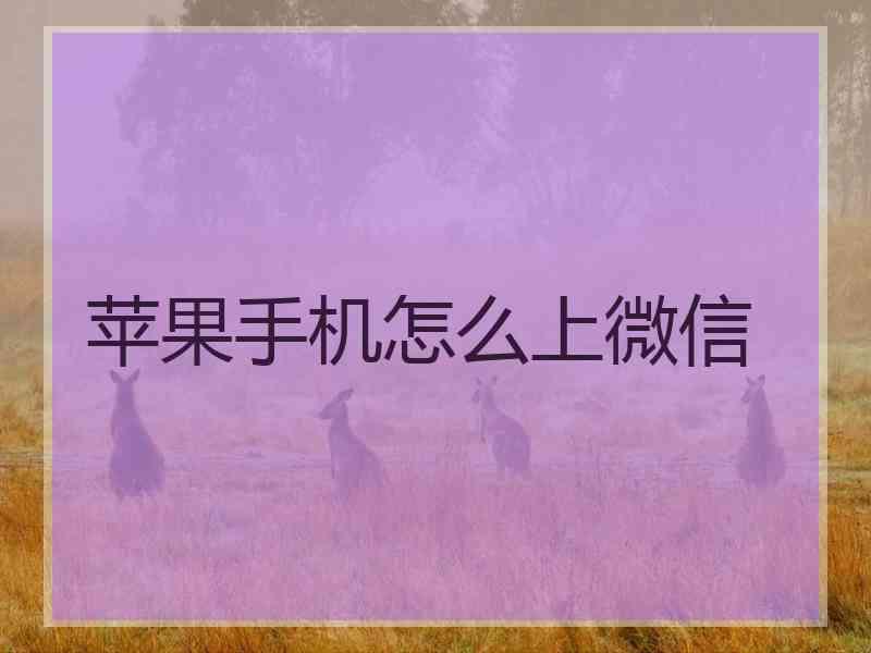 苹果手机怎么上微信