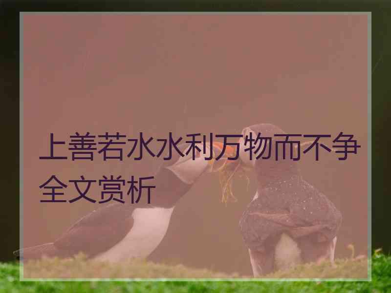 上善若水水利万物而不争全文赏析