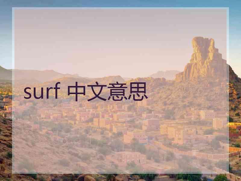 surf 中文意思