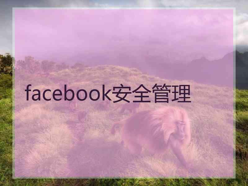 facebook安全管理