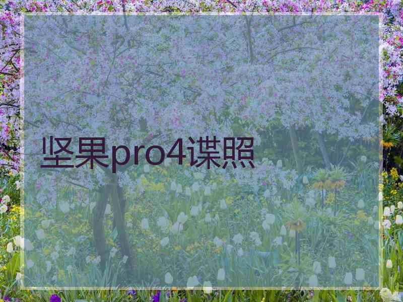 坚果pro4谍照