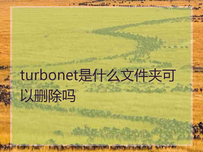 turbonet是什么文件夹可以删除吗