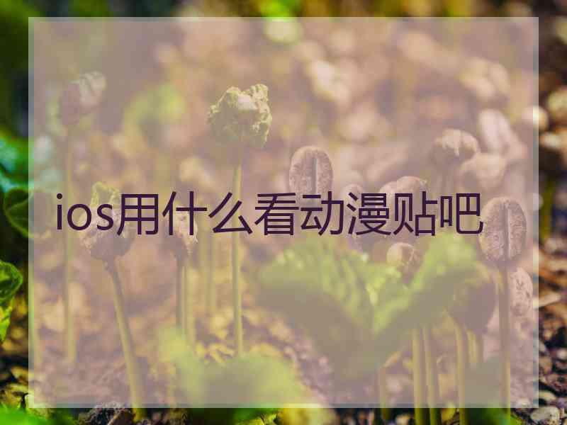 ios用什么看动漫贴吧