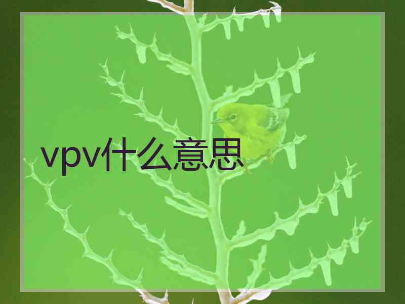 vpv什么意思