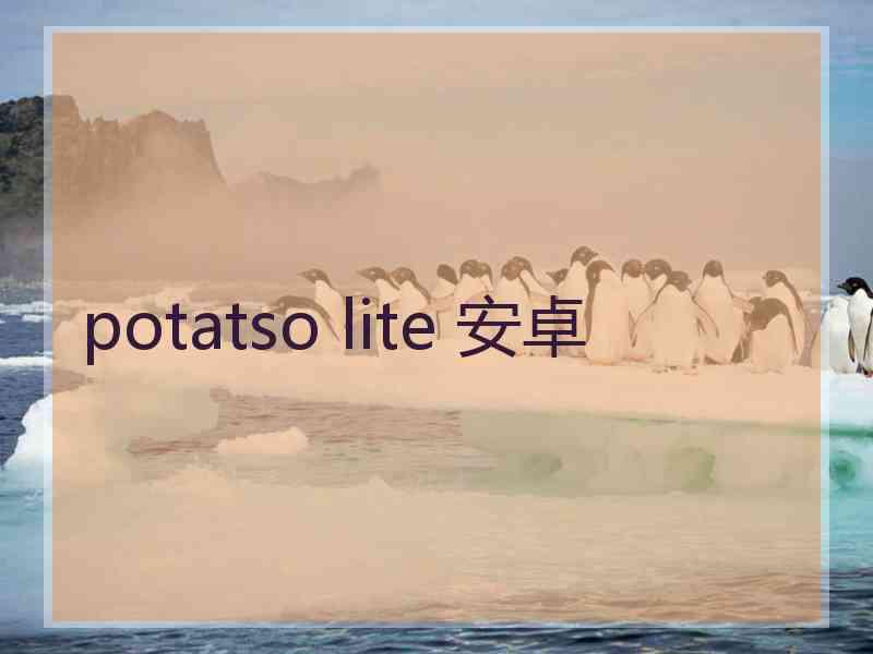 potatso lite 安卓